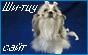 Ши-Тцу - собачка, приносящая в дом счастье